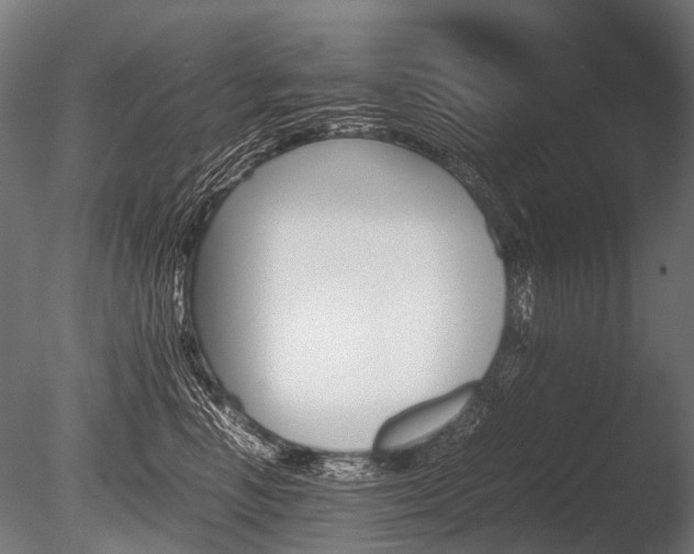 X0000086040666200703230855