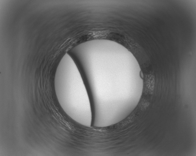 X0000086040667200703230855
