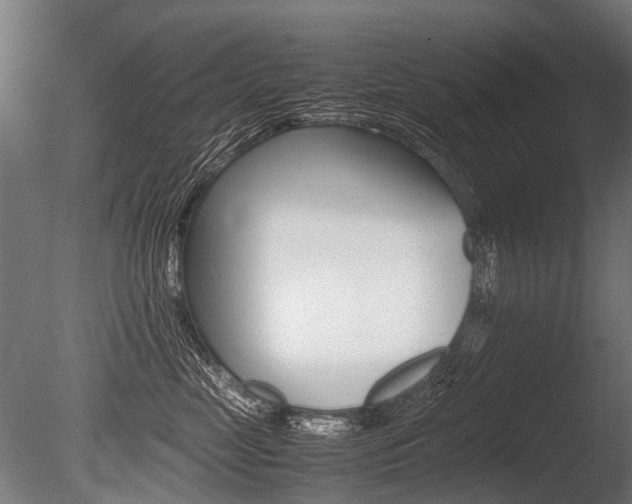 X0000086040669200703230855