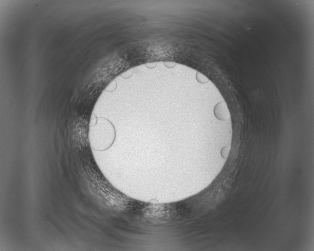 X0000086040672200703230856
