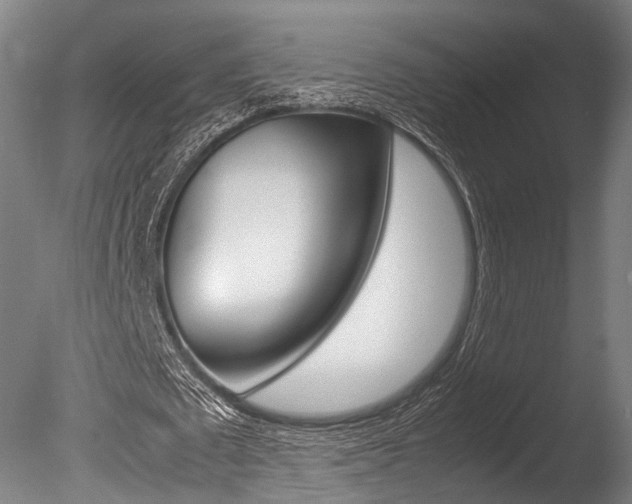 X0000086040673200703230855