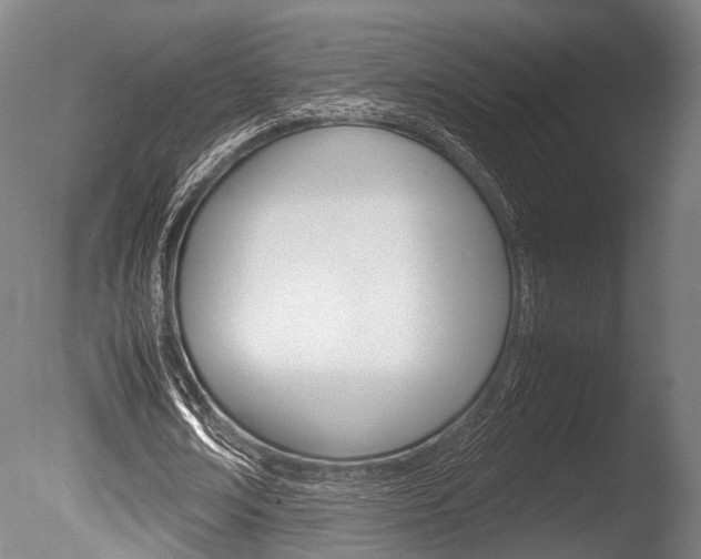 X0000086040674200703230855