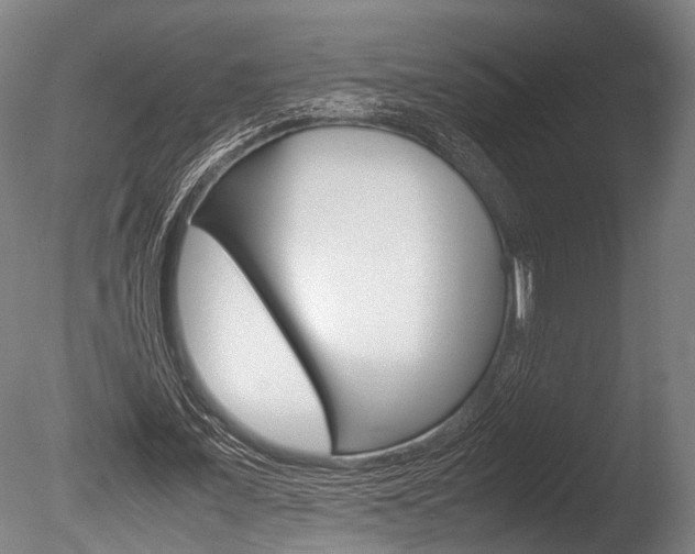 X0000086040675200703230855