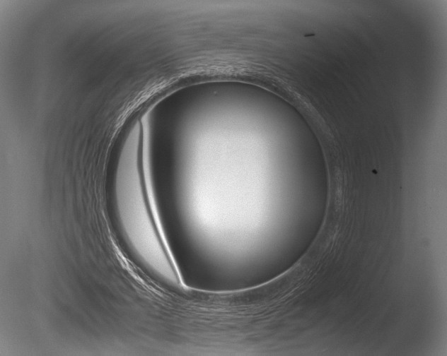 X0000086040677200703230855