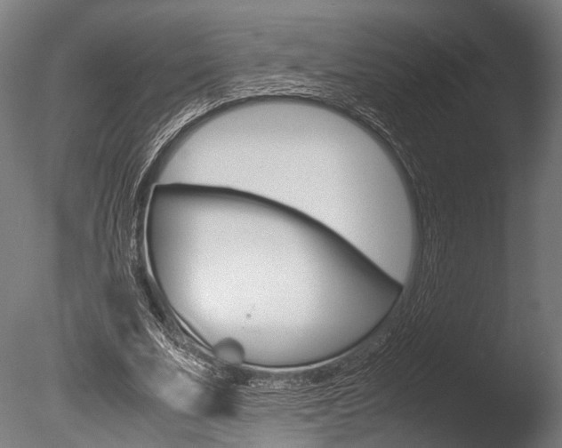 X0000086040679200703230855