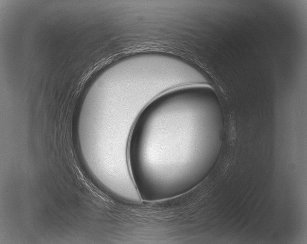 X0000086040681200703230855