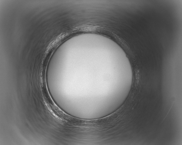 X0000086040682200703230855