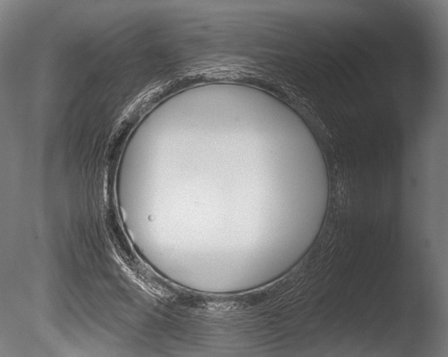 X0000086040686200703230854
