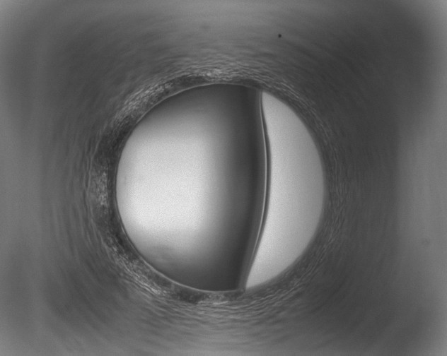 X0000086040689200703230854