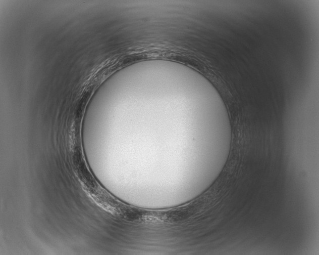 X0000086040690200703230854