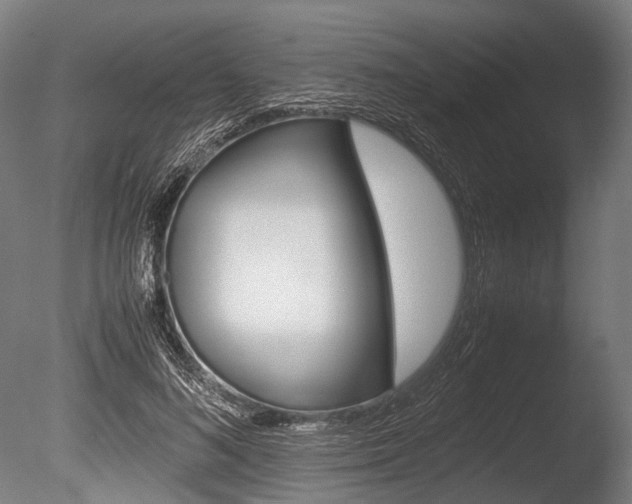 X0000086040692200703230854