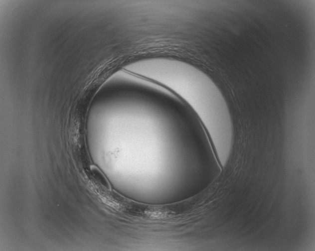 X0000086040693200703230854