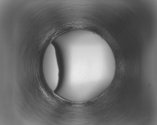 X0000086040694200703230854