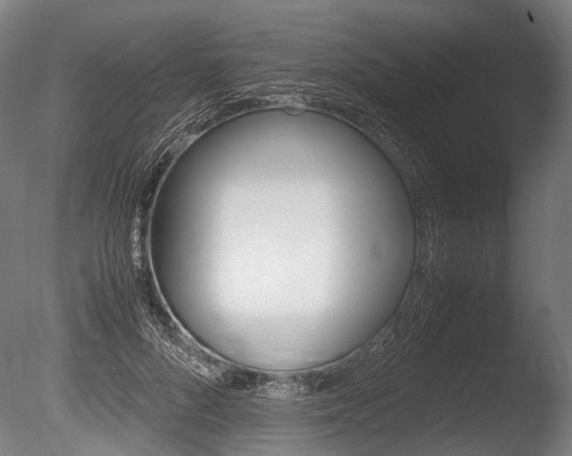 X0000086040696200703230854