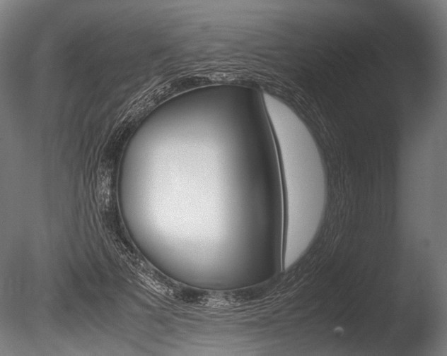 X0000086040697200703230854