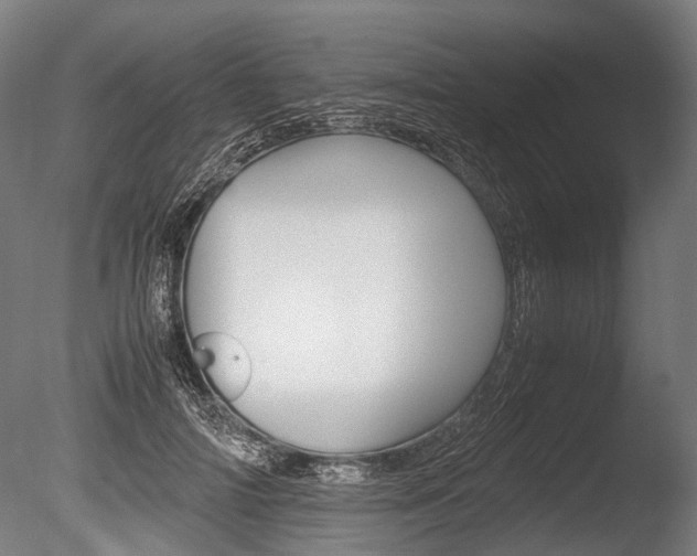 X0000086040698200703230854