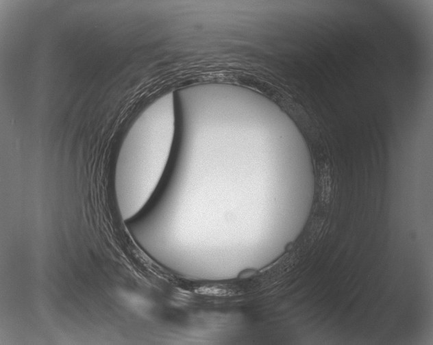 X0000086040699200703230854