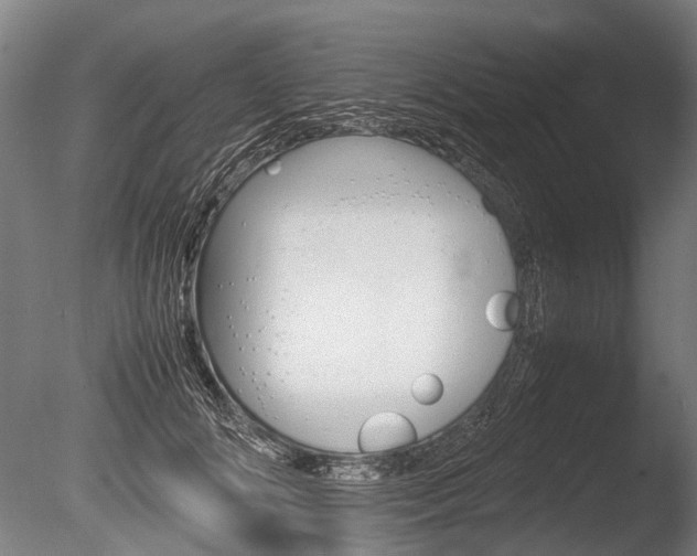 X0000086040702200703230854