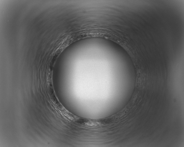 X0000086040712200703230854