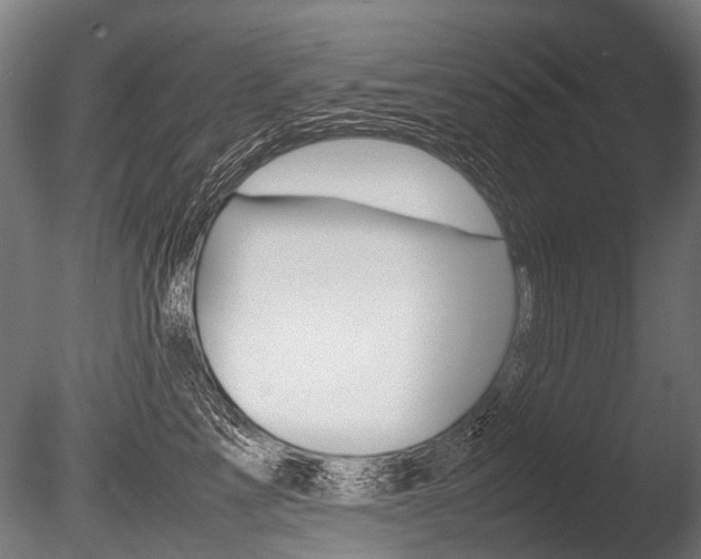 X0000086040713200703230854