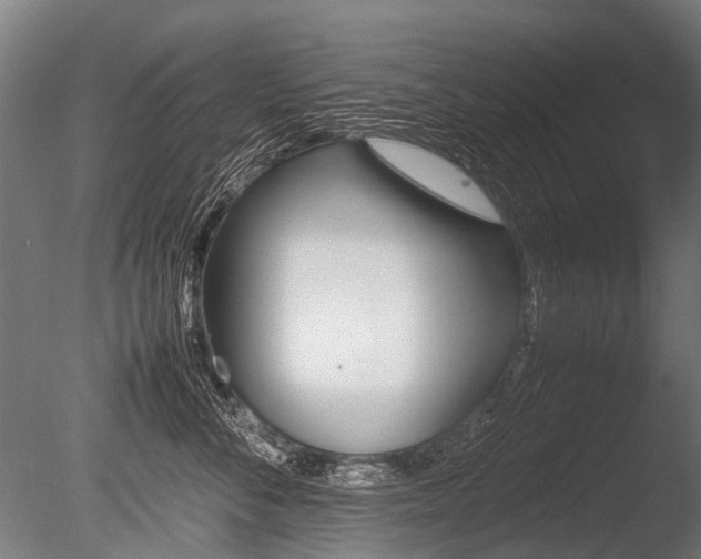 X0000086040716200703230854