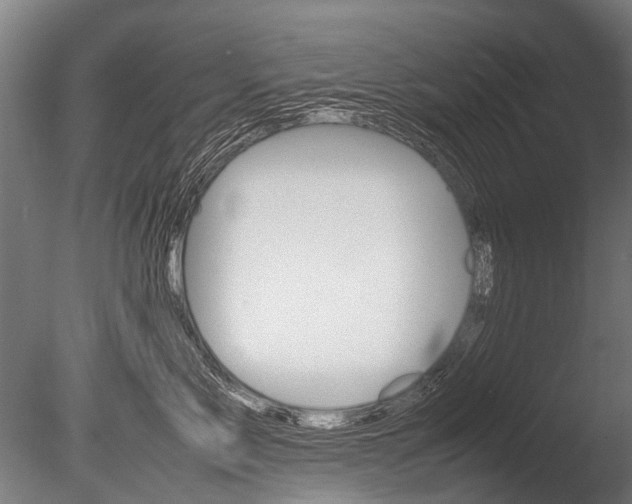 X0000086040717200703230854