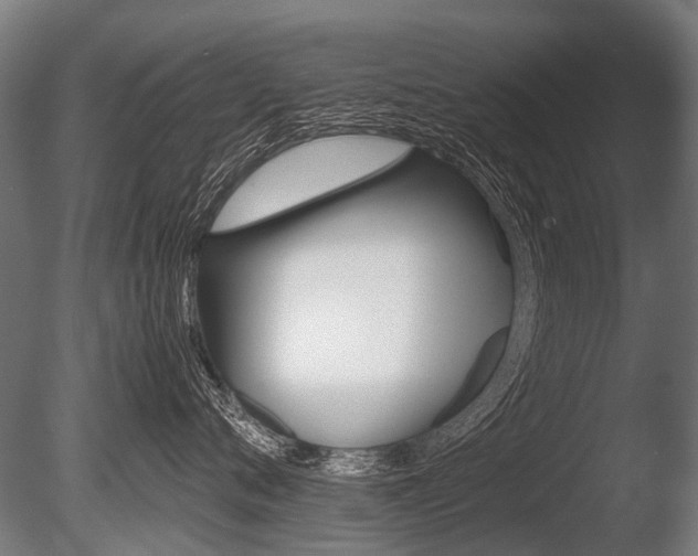 X0000086040720200703230854
