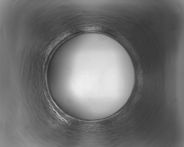 X0000086040721200703230853