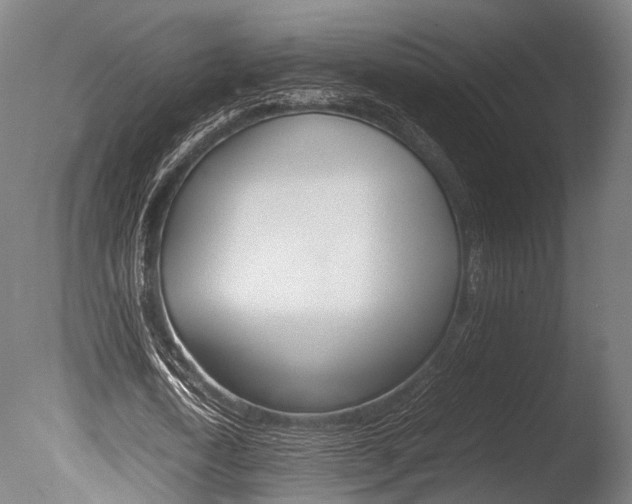 X0000086040722200703230853