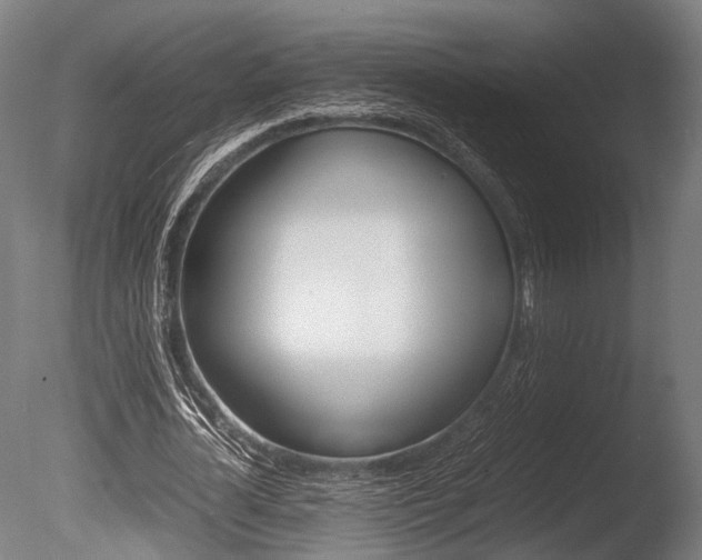 X0000086040724200703230853