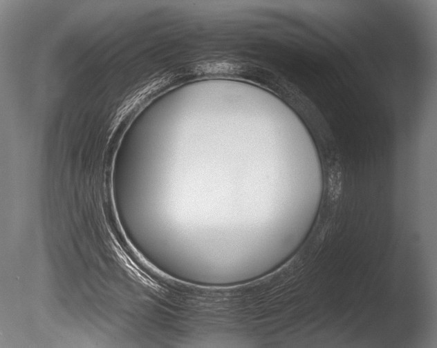 X0000086040725200703230853