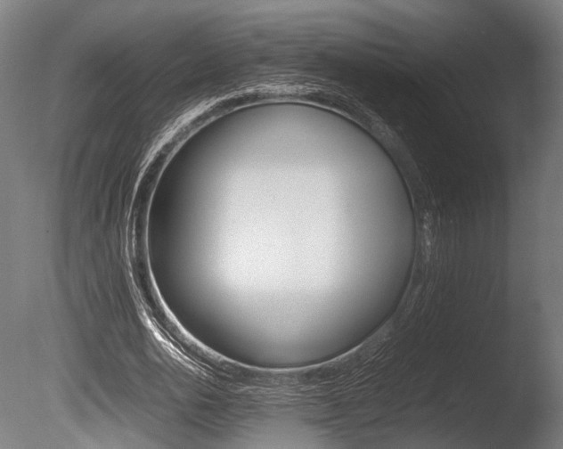 X0000086040726200703230853