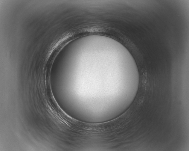 X0000086040727200703230853