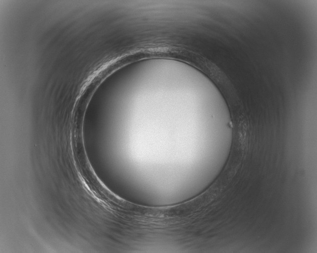 X0000086040728200703230853