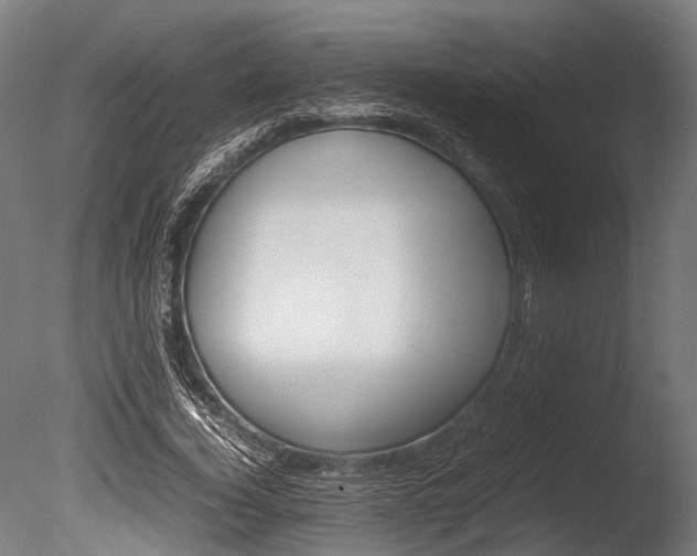 X0000086040732200703230853