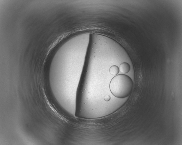 X0000086040734200703230853
