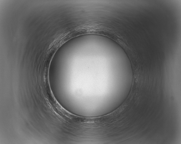 X0000086040740200703230853