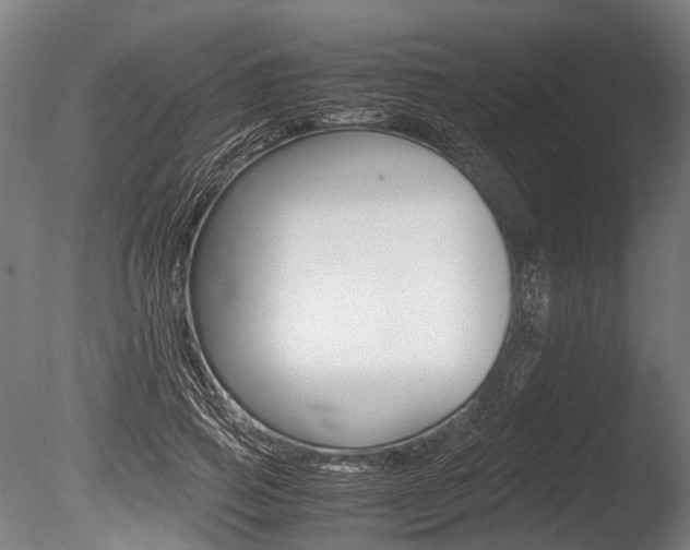X0000086040741200703230853