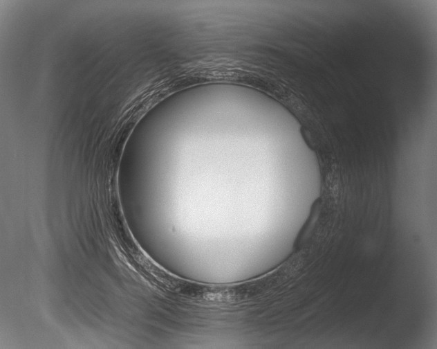 X0000086040744200703230853