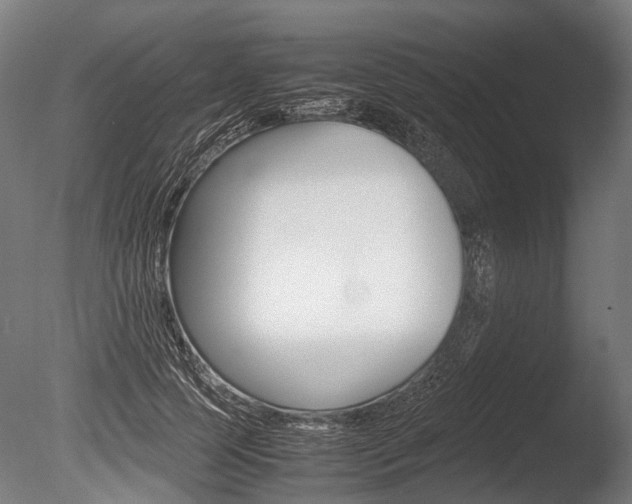 X0000086040745200703230853