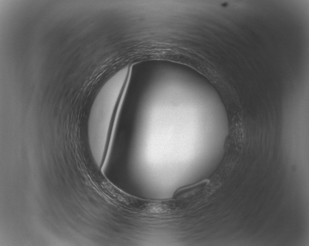 X0000086040750200703230854