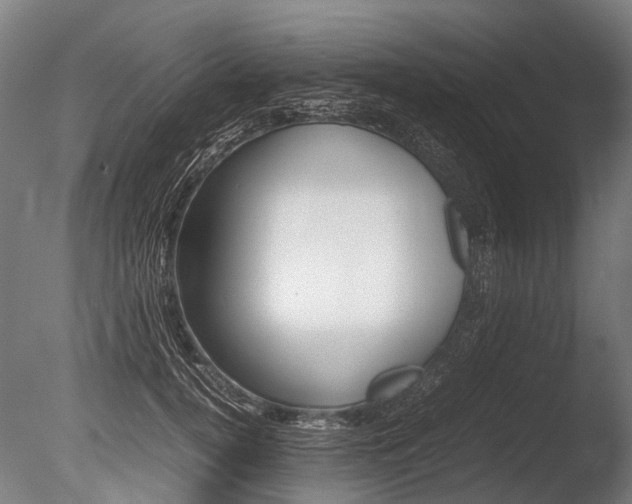 X0000086040752200703230854