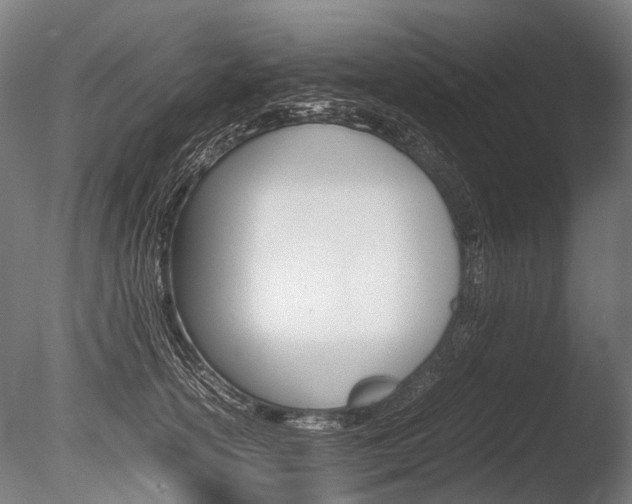 X0000086040754200703230854