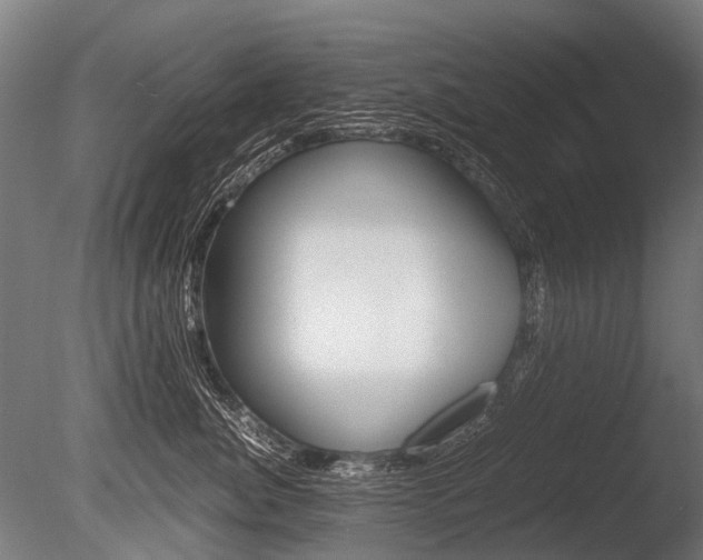 X0000086040764200703230854