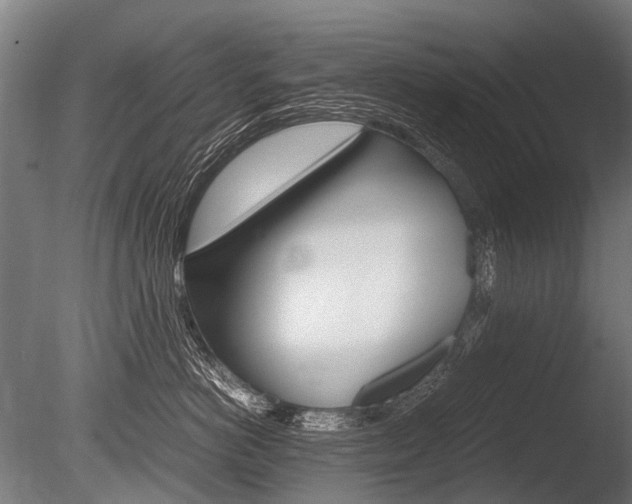 X0000086040766200703230854