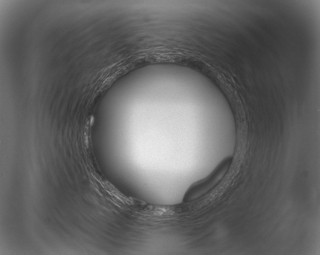 X0000086040768200703230854