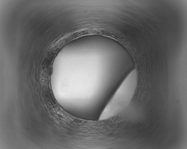 X0000086040773200703230853