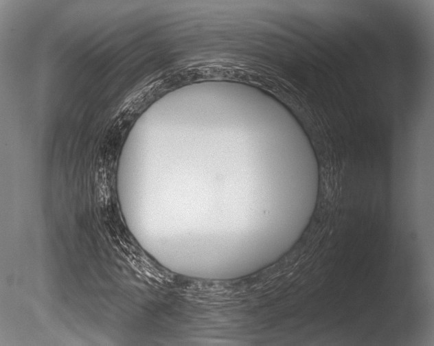 X0000086040774200703230853