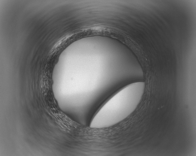 X0000086040776200703230853