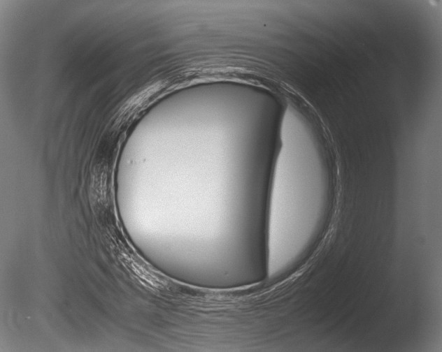 X0000086040777200703230853